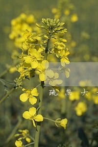 疏忽大意 信用卡逾期 疏忽大意 信用卡逾期